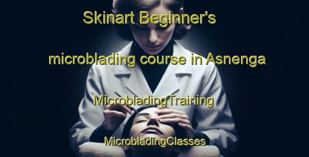 Skinart Beginner's microblading course in Asnenga | #MicrobladingTraining #MicrobladingClasses #SkinartTraining-Italy