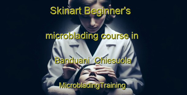 Skinart Beginner's microblading course in Banduani  Chiesuola | #MicrobladingTraining #MicrobladingClasses #SkinartTraining-Italy