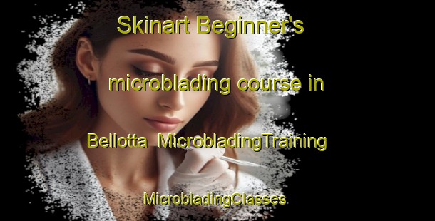 Skinart Beginner's microblading course in Bellotta | MicrobladingTraining | MicrobladingClasses | SkinartTraining-Italy
