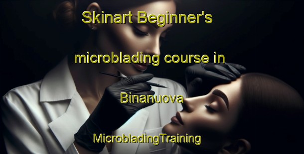 Skinart Beginner's microblading course in Binanuova | MicrobladingTraining | MicrobladingClasses | SkinartTraining-Italy