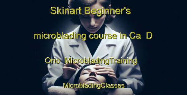 Skinart Beginner's microblading course in Ca  D Orio | #MicrobladingTraining #MicrobladingClasses #SkinartTraining-Italy