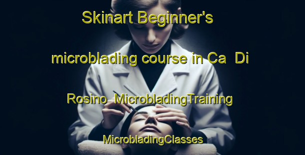 Skinart Beginner's microblading course in Ca  Di Rosino | #MicrobladingTraining #MicrobladingClasses #SkinartTraining-Italy