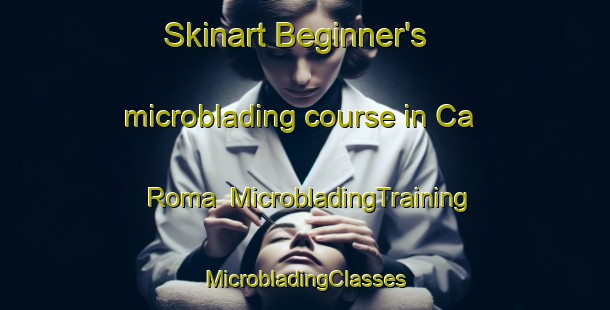 Skinart Beginner's microblading course in Ca  Roma | #MicrobladingTraining #MicrobladingClasses #SkinartTraining-Italy