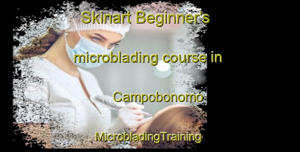 Skinart Beginner's microblading course in Campobonomo | #MicrobladingTraining #MicrobladingClasses #SkinartTraining-Italy