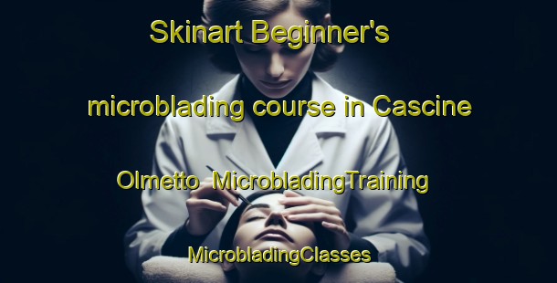 Skinart Beginner's microblading course in Cascine Olmetto | #MicrobladingTraining #MicrobladingClasses #SkinartTraining-Italy