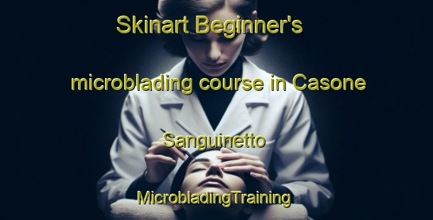 Skinart Beginner's microblading course in Casone Sanguinetto | #MicrobladingTraining #MicrobladingClasses #SkinartTraining-Italy