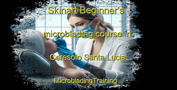 Skinart Beginner's microblading course in Ceresolo Santa Lucia | MicrobladingTraining | MicrobladingClasses | SkinartTraining-Italy