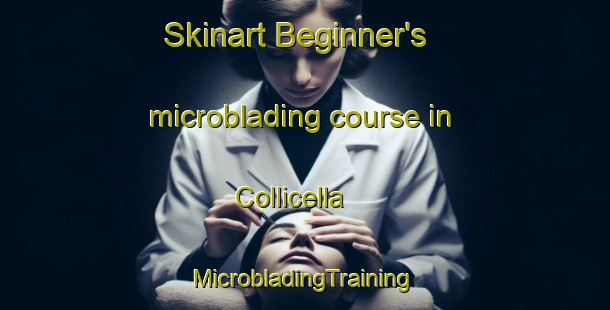 Skinart Beginner's microblading course in Collicella | #MicrobladingTraining #MicrobladingClasses #SkinartTraining-Italy