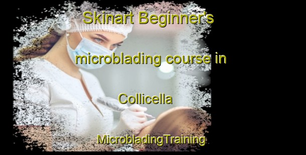 Skinart Beginner's microblading course in Collicella | #MicrobladingTraining #MicrobladingClasses #SkinartTraining-Italy