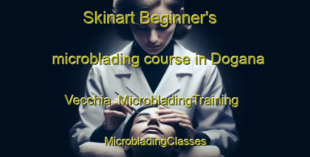 Skinart Beginner's microblading course in Dogana Vecchia | #MicrobladingTraining #MicrobladingClasses #SkinartTraining-Italy