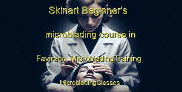 Skinart Beginner's microblading course in Favirano | MicrobladingTraining | MicrobladingClasses | SkinartTraining-Italy