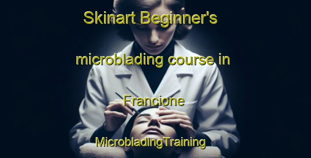 Skinart Beginner's microblading course in Francione | MicrobladingTraining | MicrobladingClasses | SkinartTraining-Italy