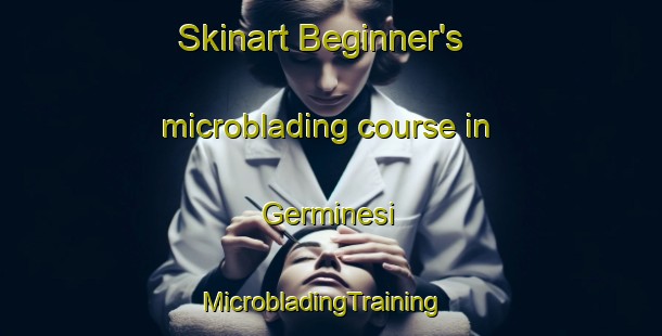 Skinart Beginner's microblading course in Germinesi | MicrobladingTraining | MicrobladingClasses | SkinartTraining-Italy