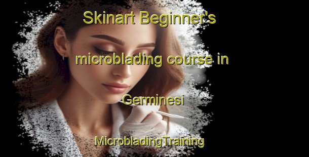 Skinart Beginner's microblading course in Germinesi | MicrobladingTraining | MicrobladingClasses | SkinartTraining-Italy