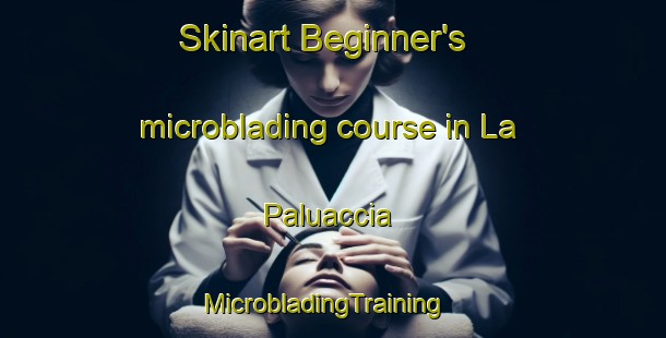 Skinart Beginner's microblading course in La Paluaccia | MicrobladingTraining | MicrobladingClasses | SkinartTraining-Italy
