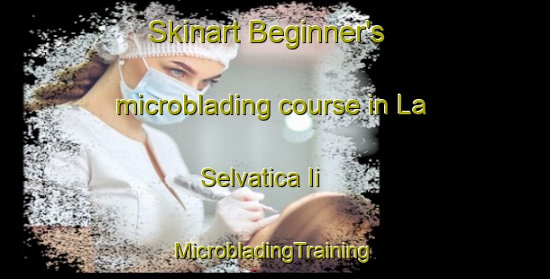 Skinart Beginner's microblading course in La Selvatica Ii | #MicrobladingTraining #MicrobladingClasses #SkinartTraining-Italy