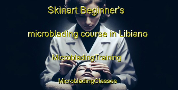 Skinart Beginner's microblading course in Libiano | MicrobladingTraining | MicrobladingClasses | SkinartTraining-Italy