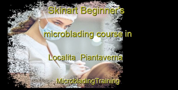 Skinart Beginner's microblading course in Localita  Piantaverna | #MicrobladingTraining #MicrobladingClasses #SkinartTraining-Italy