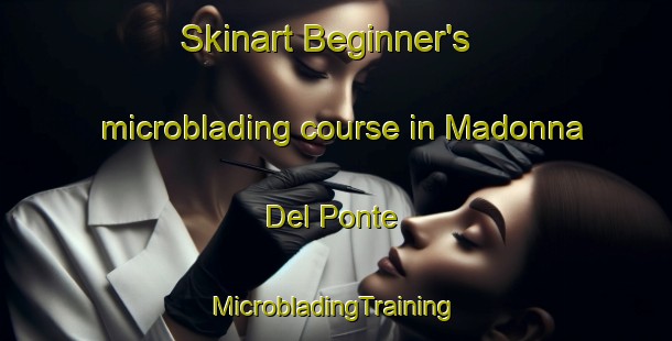 Skinart Beginner's microblading course in Madonna Del Ponte | #MicrobladingTraining #MicrobladingClasses #SkinartTraining-Italy