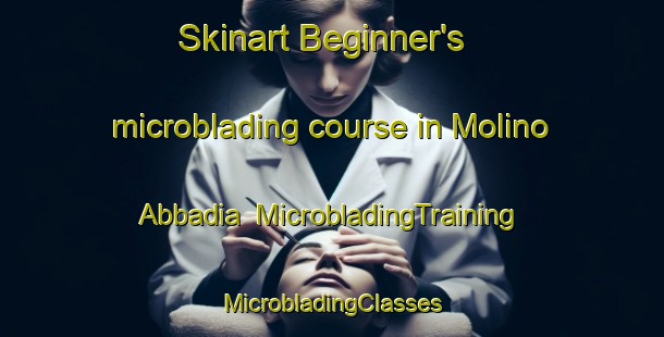 Skinart Beginner's microblading course in Molino Abbadia | #MicrobladingTraining #MicrobladingClasses #SkinartTraining-Italy