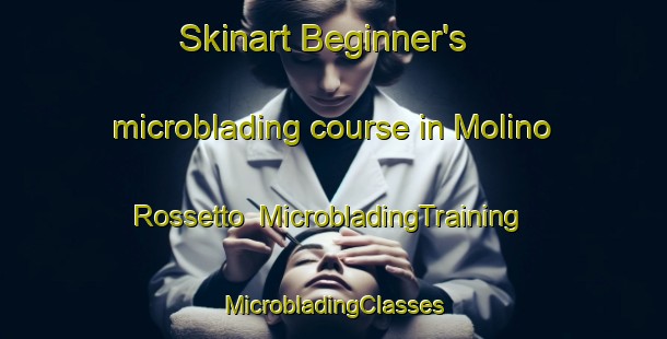 Skinart Beginner's microblading course in Molino Rossetto | #MicrobladingTraining #MicrobladingClasses #SkinartTraining-Italy