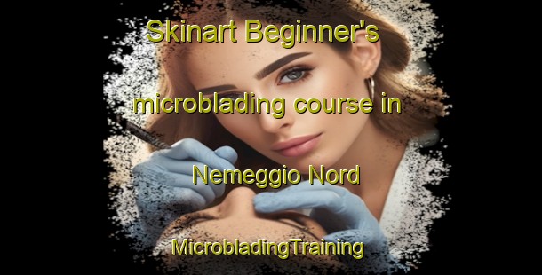 Skinart Beginner's microblading course in Nemeggio Nord | #MicrobladingTraining #MicrobladingClasses #SkinartTraining-Italy