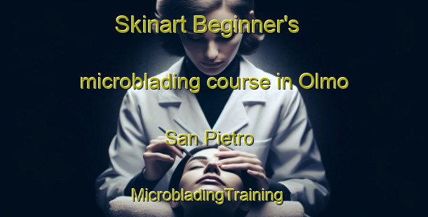 Skinart Beginner's microblading course in Olmo San Pietro | MicrobladingTraining | MicrobladingClasses | SkinartTraining-Italy