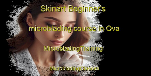 Skinart Beginner's microblading course in Ova | MicrobladingTraining | MicrobladingClasses | SkinartTraining-Italy