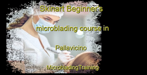 Skinart Beginner's microblading course in Pallavicino | #MicrobladingTraining #MicrobladingClasses #SkinartTraining-Italy