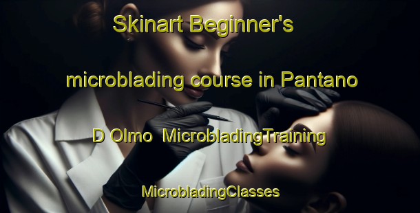 Skinart Beginner's microblading course in Pantano D Olmo | #MicrobladingTraining #MicrobladingClasses #SkinartTraining-Italy