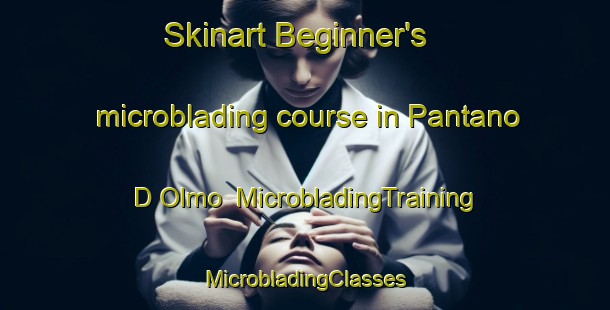 Skinart Beginner's microblading course in Pantano D Olmo | #MicrobladingTraining #MicrobladingClasses #SkinartTraining-Italy