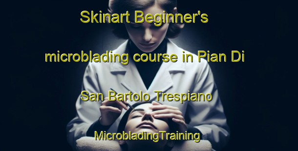 Skinart Beginner's microblading course in Pian Di San Bartolo Trespiano | #MicrobladingTraining #MicrobladingClasses #SkinartTraining-Italy