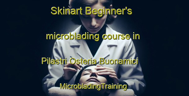 Skinart Beginner's microblading course in Pilastri Osteria Buonamici | #MicrobladingTraining #MicrobladingClasses #SkinartTraining-Italy