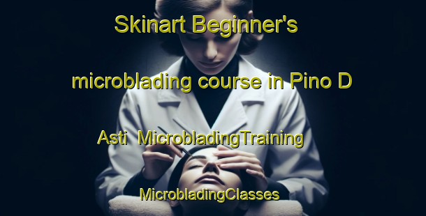 Skinart Beginner's microblading course in Pino D Asti | MicrobladingTraining | MicrobladingClasses | SkinartTraining-Italy