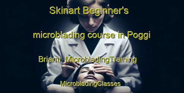 Skinart Beginner's microblading course in Poggi Briami | MicrobladingTraining | MicrobladingClasses | SkinartTraining-Italy