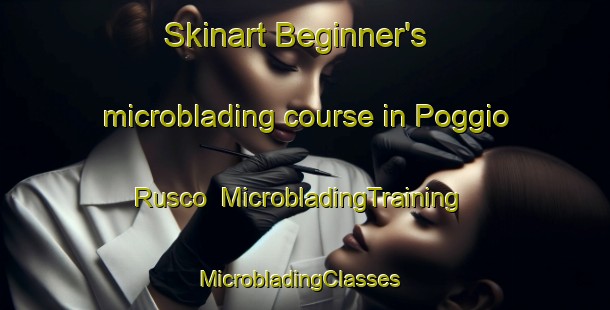 Skinart Beginner's microblading course in Poggio Rusco | MicrobladingTraining | MicrobladingClasses | SkinartTraining-Italy