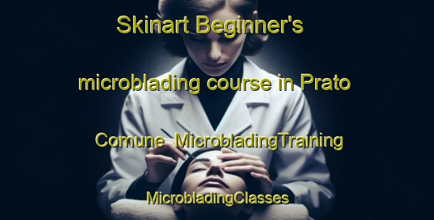 Skinart Beginner's microblading course in Prato Comune | #MicrobladingTraining #MicrobladingClasses #SkinartTraining-Italy