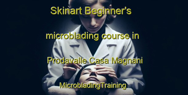 Skinart Beginner's microblading course in Prodavalle Casa Magnani | #MicrobladingTraining #MicrobladingClasses #SkinartTraining-Italy