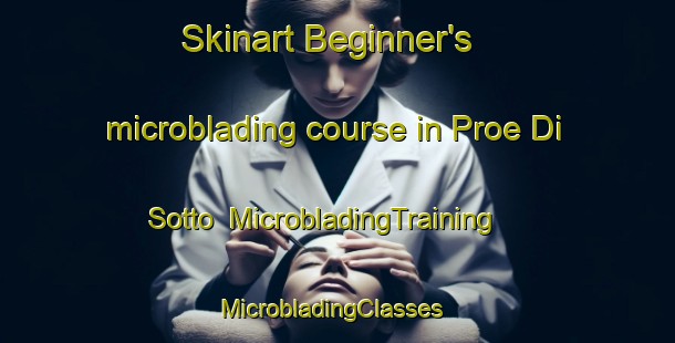 Skinart Beginner's microblading course in Proe Di Sotto | MicrobladingTraining | MicrobladingClasses | SkinartTraining-Italy