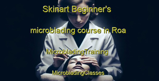 Skinart Beginner's microblading course in Roa | MicrobladingTraining | MicrobladingClasses | SkinartTraining-Italy