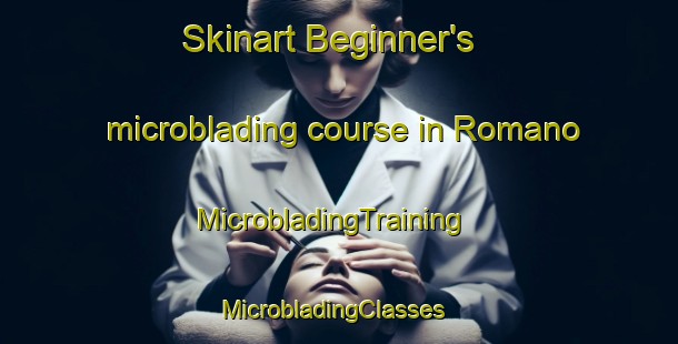 Skinart Beginner's microblading course in Romano | MicrobladingTraining | MicrobladingClasses | SkinartTraining-Italy