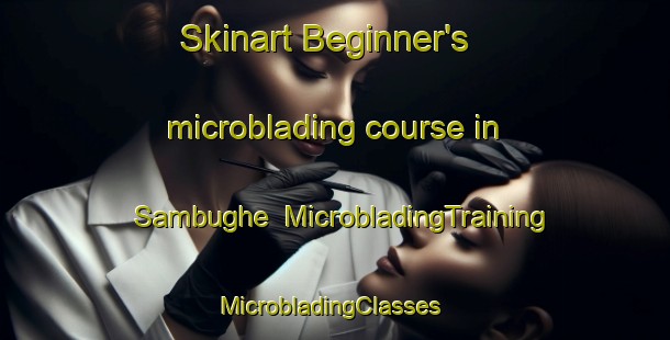 Skinart Beginner's microblading course in Sambughe | MicrobladingTraining | MicrobladingClasses | SkinartTraining-Italy