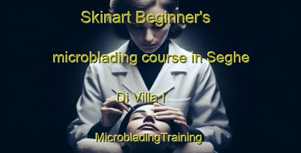 Skinart Beginner's microblading course in Seghe Di Villa I | #MicrobladingTraining #MicrobladingClasses #SkinartTraining-Italy