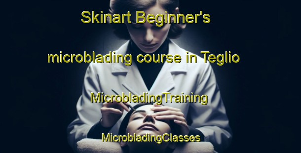 Skinart Beginner's microblading course in Teglio | #MicrobladingTraining #MicrobladingClasses #SkinartTraining-Italy