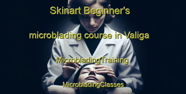 Skinart Beginner's microblading course in Valiga | #MicrobladingTraining #MicrobladingClasses #SkinartTraining-Italy