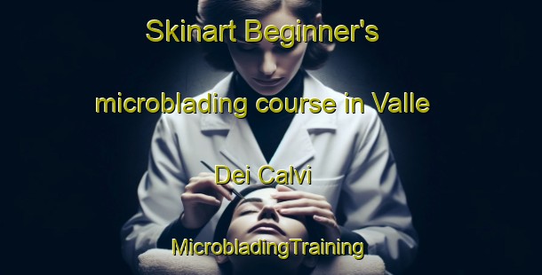 Skinart Beginner's microblading course in Valle Dei Calvi | #MicrobladingTraining #MicrobladingClasses #SkinartTraining-Italy