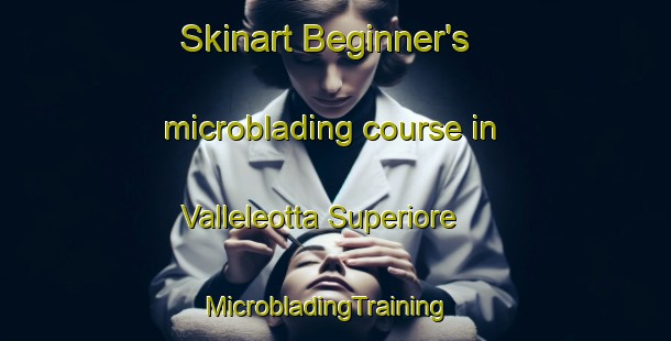 Skinart Beginner's microblading course in Valleleotta Superiore | MicrobladingTraining | MicrobladingClasses | SkinartTraining-Italy