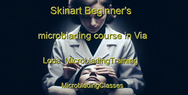 Skinart Beginner's microblading course in Via Loda | MicrobladingTraining | MicrobladingClasses | SkinartTraining-Italy