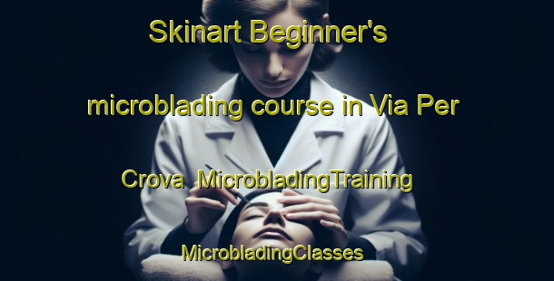 Skinart Beginner's microblading course in Via Per Crova | MicrobladingTraining | MicrobladingClasses | SkinartTraining-Italy