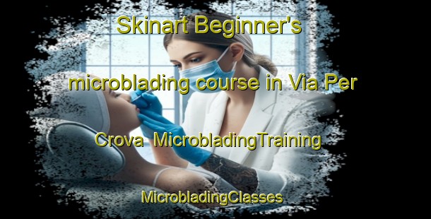 Skinart Beginner's microblading course in Via Per Crova | MicrobladingTraining | MicrobladingClasses | SkinartTraining-Italy